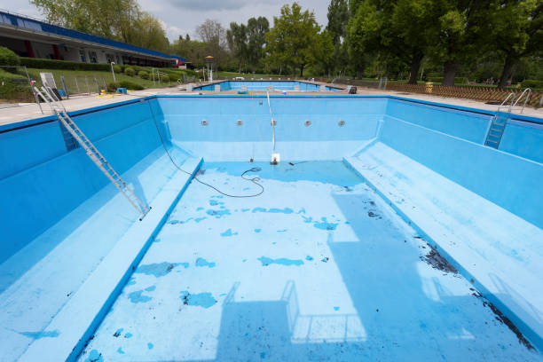Best Water damage cleanup near me  in Remerton, GA