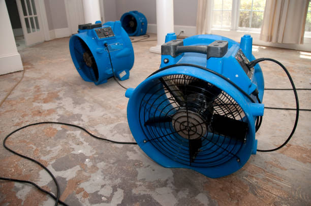 24/7 water damage repair in Remerton, GA